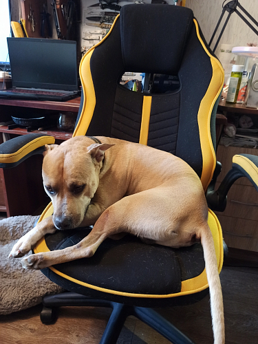 Компьютерное кресло Plast черный / желтый фото покупателя 13