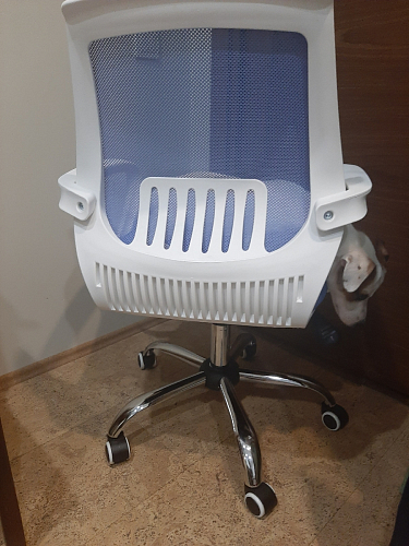 Компьютерное кресло Ergoplus белое / розовое фото покупателя 16