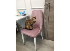 Стул на металлокаркасе Kora white фото покупателя 187