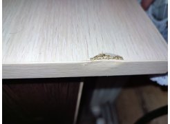 Стол письменный СП4 венге / дуб молочный фото покупателя 21