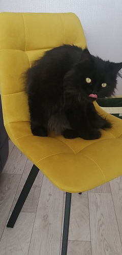 Стул на металлокаркасе Чилли бежевый / белый каркас фото покупателя 1523