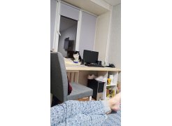 Стул Madina dark walnut / fabric grey фото покупателя 5