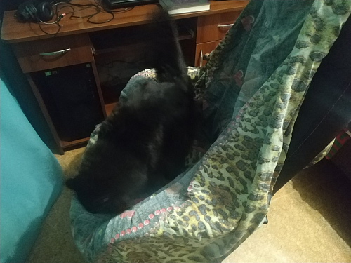 Компьютерное кресло Kano черное / красное фото покупателя 45