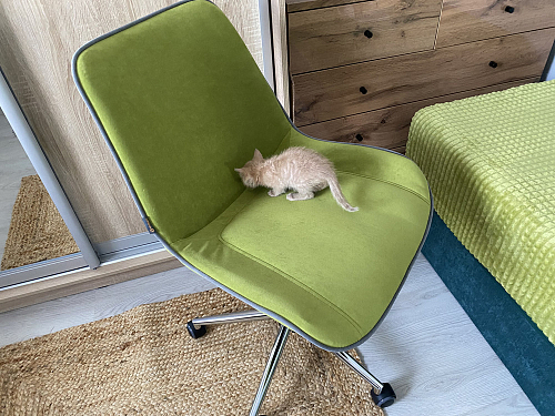 Компьютерное кресло Style/Стайл синий 32 фото покупателя 14