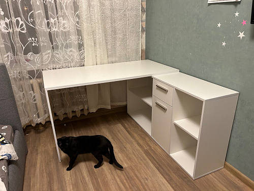 Письменный стол Лайт 03.245F белый гладкий 101 фото покупателя 114