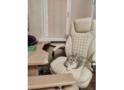 Компьютерное кресло Herd темно-серое фото покупателя 94