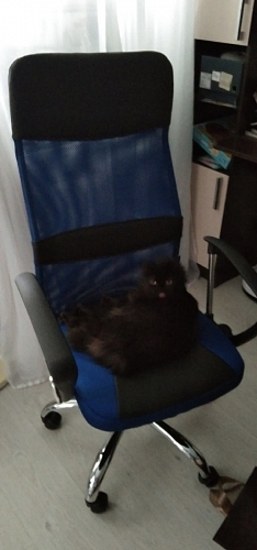 Компьютерное кресло ARANO черное фото покупателя 188