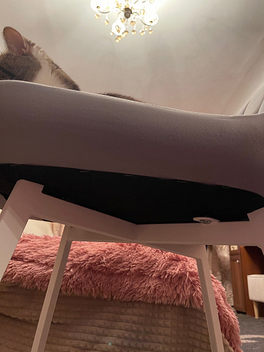 Стул на металлокаркасе Челси морская волна / черный фото покупателя 131