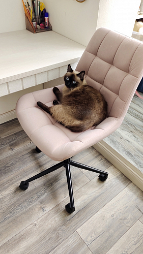 Компьютерное кресло Честер темно-серый / золото  - Уцененный экземпляр фото покупателя 50