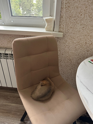 Стул на металлокаркасе Чилли синяя ткань / белый фото покупателя 184