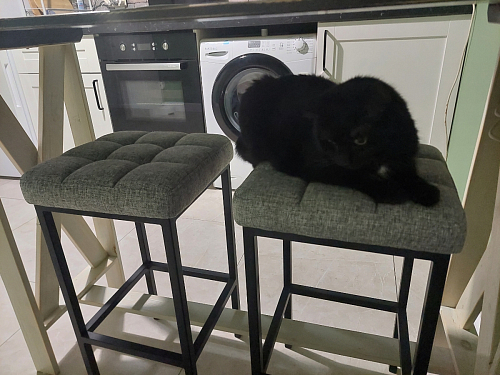 Барный стул Лофт микровелюр катания блэк / черный матовый фото покупателя 230