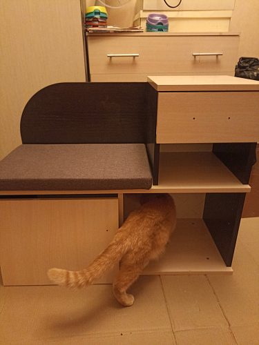 Обувница Аврора дуб млечный / венге фото покупателя 101