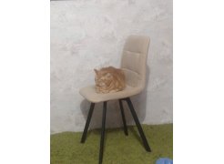 Стул на металлокаркасе Чилли розовый / черный каркас фото покупателя 600