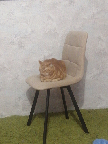 Стул на металлокаркасе Чилли К темно-серый (velutto 32) / черный фото покупателя 600