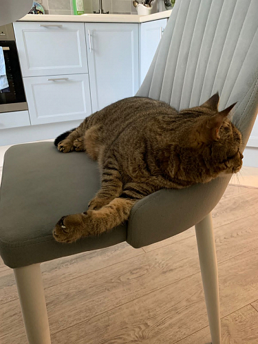 Стул на металлокаркасе Kora light purple / black фото покупателя 252