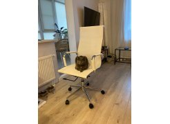 Компьютерное кресло Reus черная сетка / хром фото покупателя 34