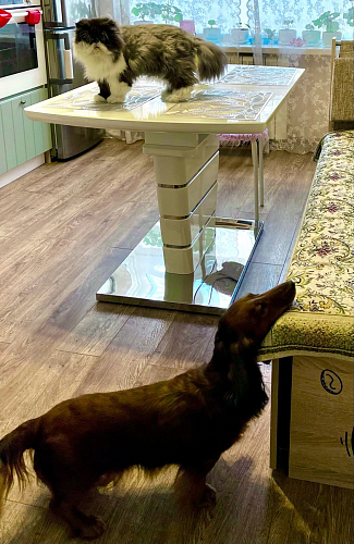 Стол Space 120 белый фото покупателя 17