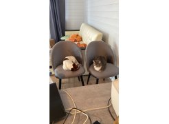 Деревянный стол Лота Лофт 120(160)х75 черный матовый / бетон светлый фото покупателя 242