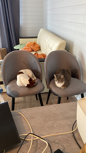 Стол раскладной Лота Лофт 120 25 мм юта / черный матовый фото покупателя 242