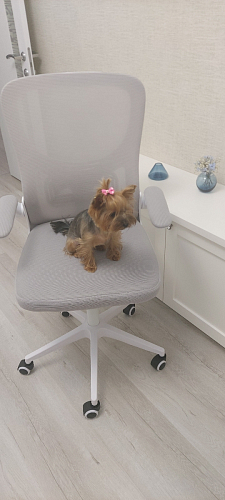 Компьютерное кресло Konfi pink / white фото покупателя 141