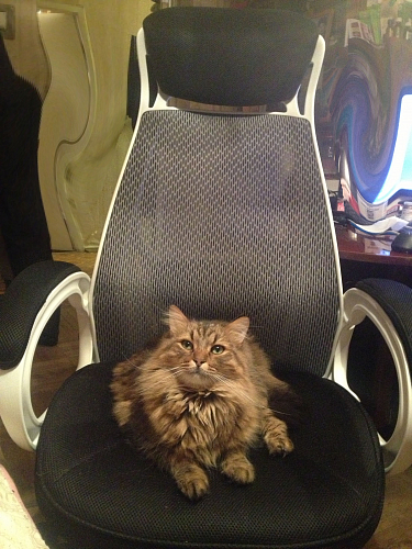 Компьютерное кресло Burgos черное фото покупателя 50