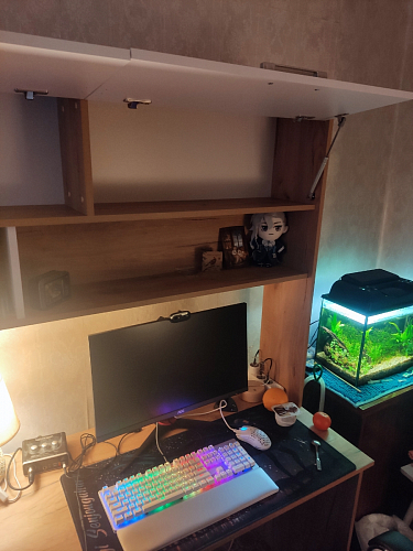 Письменный стол Лайт 03.243 дуб золотой (craft) / белый премиум фото покупателя 149