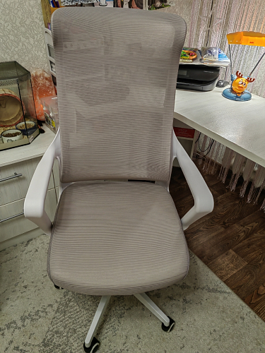 Компьютерное кресло Rino light gray / white фото покупателя 2