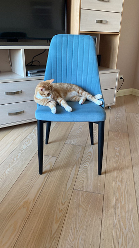 Стул на металлокаркасе Kora dark gray / black фото покупателя 114