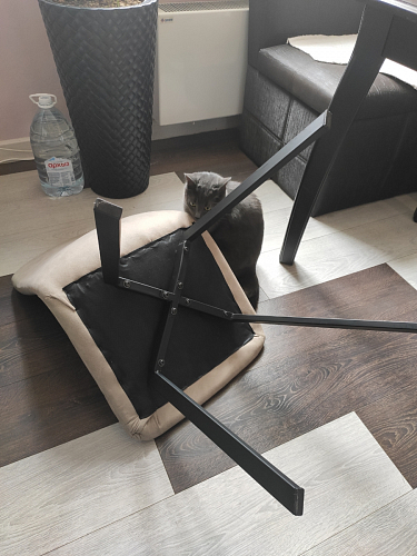 Стул Bruk purple фото покупателя 63