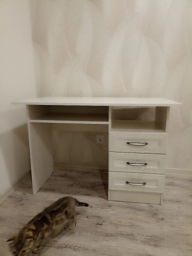 Стол письменный Колибри бодега фото покупателя 56