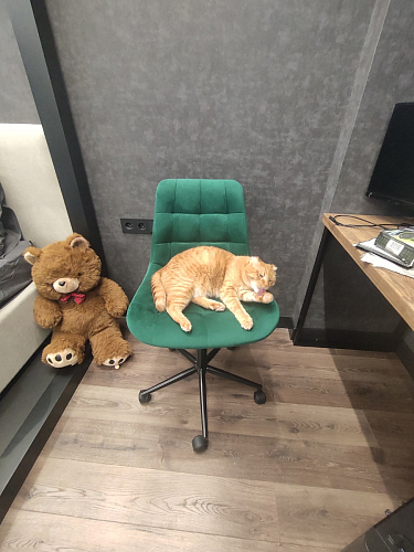 Компьютерное кресло Честер экокожа бежевая / белый фото покупателя 58