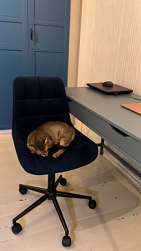 Компьютерное кресло Честер голубой (velutto 47 ) / черный фото покупателя 16