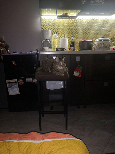 Барный стул Лофт катания минт / белый матовый фото покупателя 69