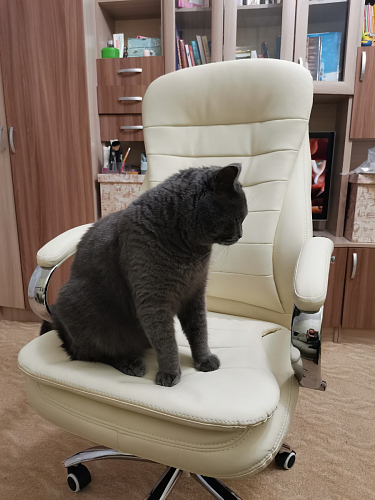 Компьютерное кресло Tomar серое фото покупателя 38