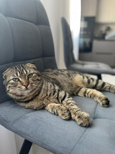 Стул на металлокаркасе Чилли К кирпичный / черный фото покупателя 686