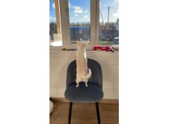 Стул на металлокаркасе Gabi 1 gray / black фото покупателя 318