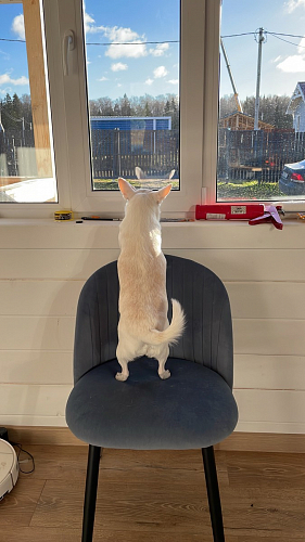 Стул на металлокаркасе Gabi 1 light purple / black фото покупателя 318