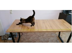 Стол Лота Лофт 120 25 мм дуб делано темный / черный матовый фото покупателя 322