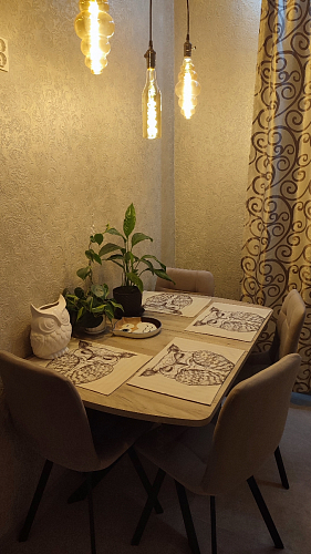 Стул на металлокаркасе Чилли бирюзовый / черный фото покупателя 1475