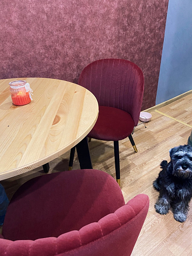 Стул на металлокаркасе Gabi green / black / silver фото покупателя 2