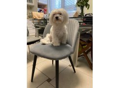 Стул на металлокаркасе Gabi gray / black фото покупателя 915