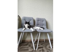 Стул на металлокаркасе Чилли розовый / черный каркас фото покупателя 447