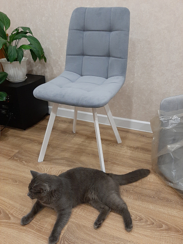 Стул на металлокаркасе Чилли синий / белый фото покупателя 759