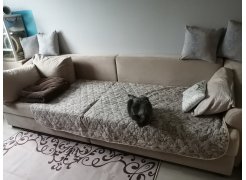 Диван Милтон велюр бежевый фото покупателя 1