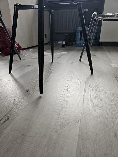 Стул на металлокаркасе Седа 360 К латте (velutto 08) / белый фото покупателя 124