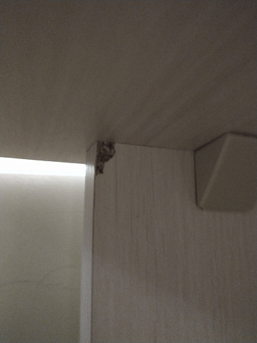 Стол письменный Kiwi белый  - Уцененный экземпляр фото покупателя 86