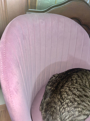 Стул на металлокаркасе Gabi 1 light blue / black / gold фото покупателя 763