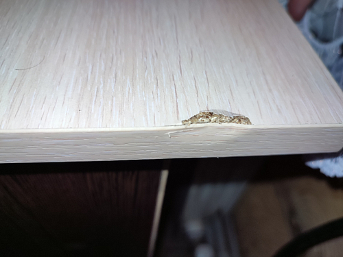 Стол письменный СП4 венге фото покупателя 41