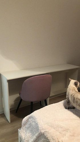 Стул на металлокаркасе Gabi 1 line light blue / black фото покупателя 281