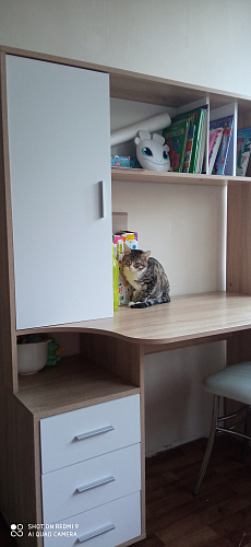 Компьютерный стол КСТ-16 левый дуб сонома / белый фото покупателя 138